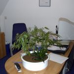 Deitron Büro 2001